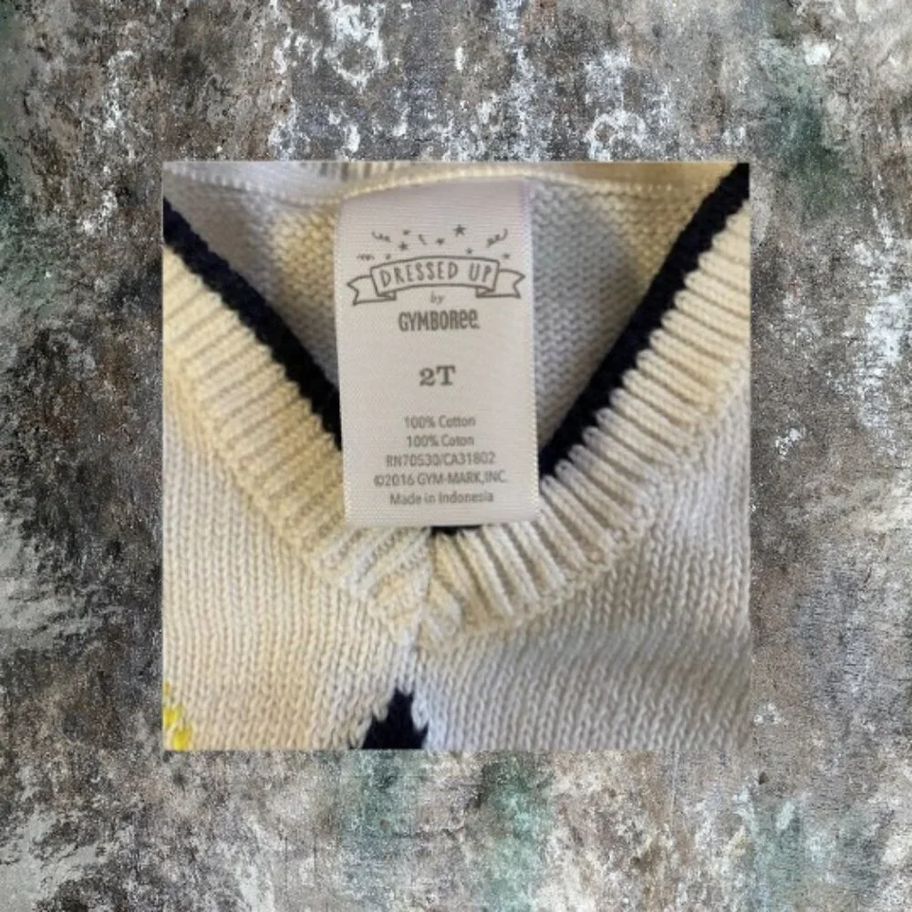 Dressed Up by Gymboree Boy’s V-Neck Cotton Vest